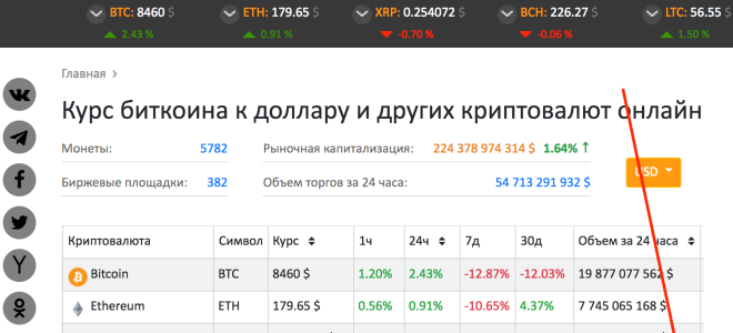 Крипто джунгли: какая монета на самом деле самая популярная?
