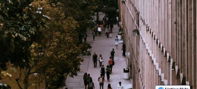 Топ-3 возможности обучения на криптовалютных биржах