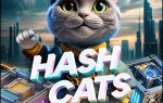 Обновленное комбо в Hashcats на 10 октября