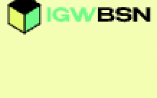 Igw Bsn