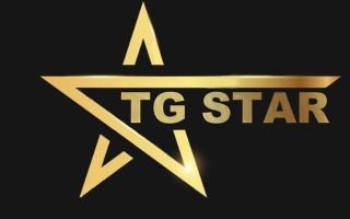 Tgstar Work