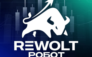 Rewolt Robot