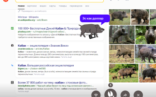 Кабан от Яндекс
