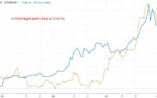 Есть ли шанс у криптомедведей?