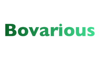Bovarious
