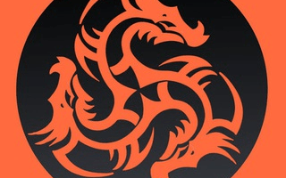 Dragon Hold