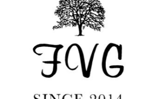 Forex Volga Group