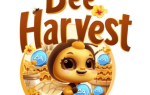 Обновленное комбо в Bee Harvest на 16 октября