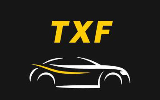 Taxifly Game