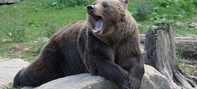 Биткоин быки теряют силы