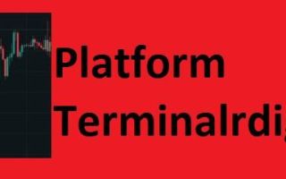 Platform Terminalrdigital