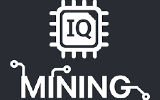 IQ Mining