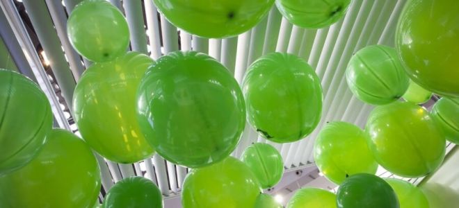 Анализ рынка криптовалют показывает: у эфириума есть будущее