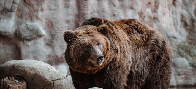 Риски покупки Биткоина на текущем уровне