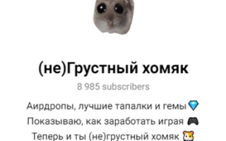 (не)грустный Хомяк
