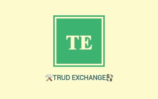 Trudexchange | Обмен Валют по Миру