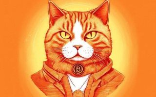 Crypto Cat