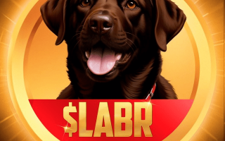 Labrador $labr