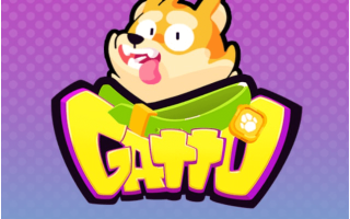 Gatto Game