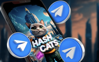 Тапалка HashCats – 3 комбо карты на сегодня (31.08)