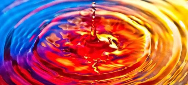 Замечательные прогнозы для ripple: валюта сможет повысить ценность в ближайшие дни