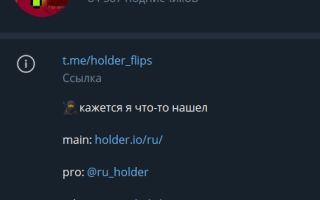 Holder 🥷 Flips