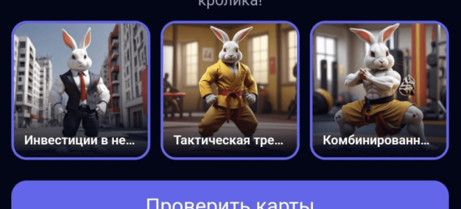 Комбо карты Rocky Rabbit в телеграмм на 2 сентября 2024