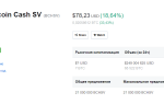 Может ли SV форк Кэша Биткоин стать новой звездой?