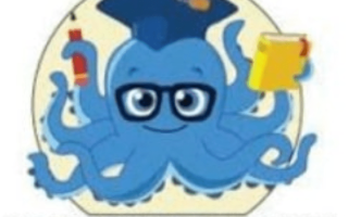 Octopus Academy