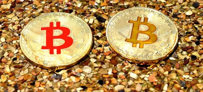 Рост Биткоина, вероятно, продолжится или ралли лохов