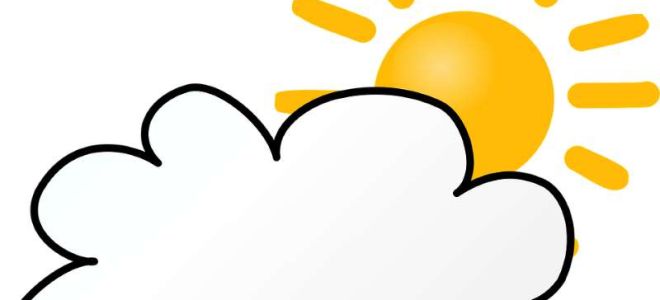 Какая криптовалюта по мнению экспертов лучше