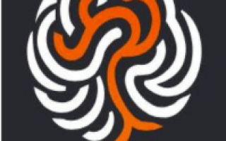 Skill Network AI (main Channel)