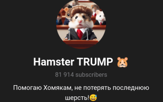 Hamster Trump 🐹
