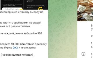 Buy Hmstr 🐹 Hamster