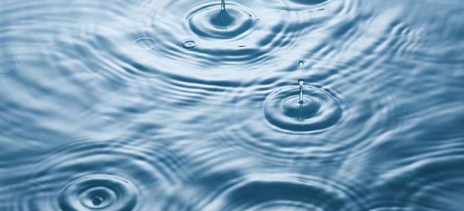 Курс криптовалюты Ripple восстановится: надолго ли это