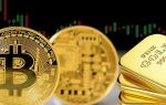 Криптовалюта биткоин и его клон bitcoin gold: обзор стоимости