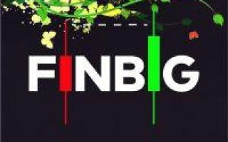 Finbig