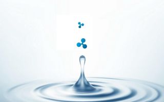 Ripple – новый лидер среди криптовалют? Пора продавать биткоин?