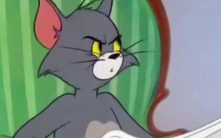 Tom Capital