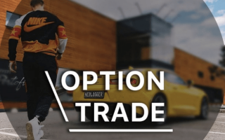Option Trade Александр Гудман