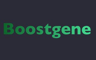 Boostgene