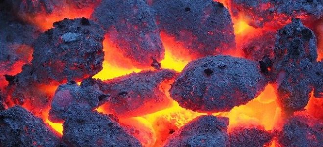 Как майнеры находят выгодные способы добычи Биткоина