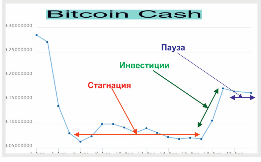цена bitcoin cash 
