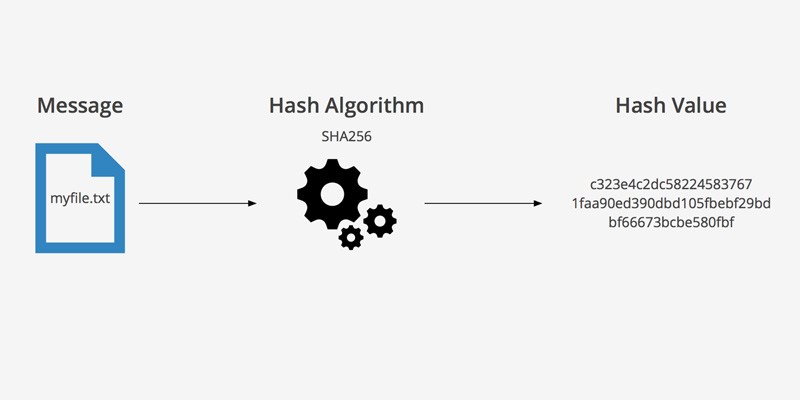 криптовалюты sha256