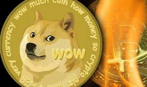 курс dogecoin