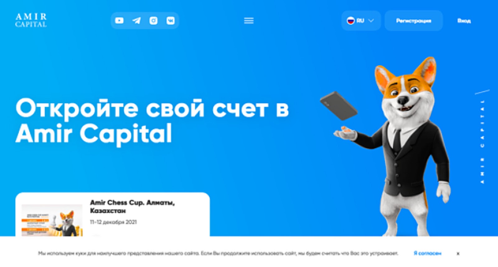 амир капитал отзывы