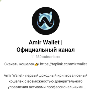 amirwallet