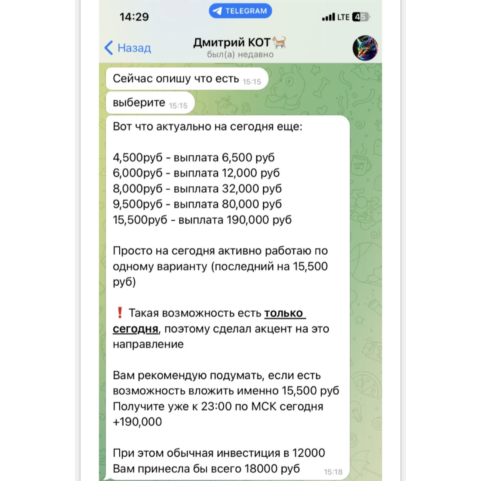 dima bitcat