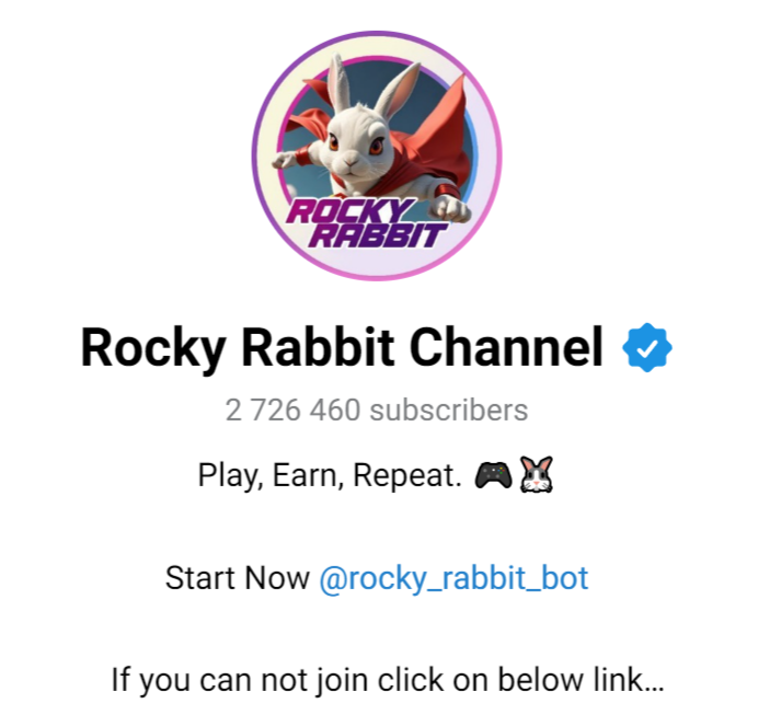 rocky rabbit обзор