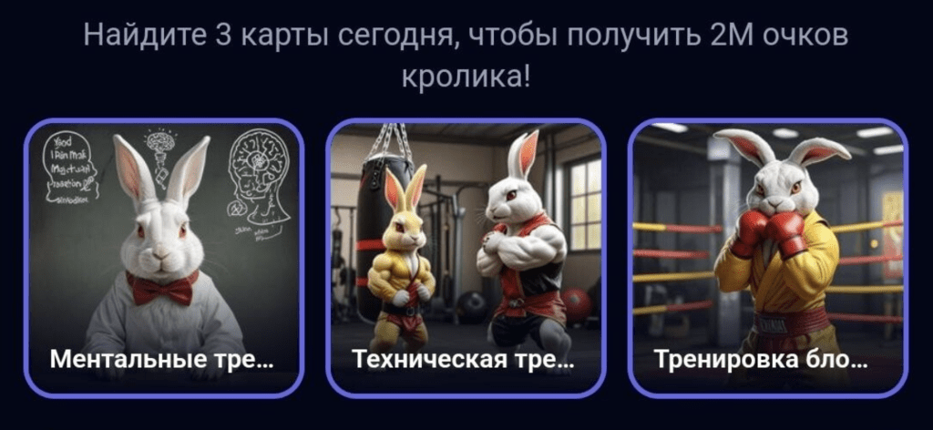 rocky rabbit 31 августа